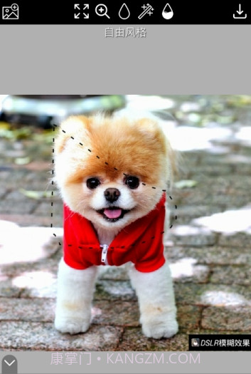 DSLR模糊效果截图1