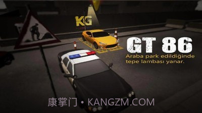 停车场之王截图4