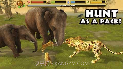 猎豹模拟器截图2