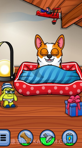 我的柯基犬截图1