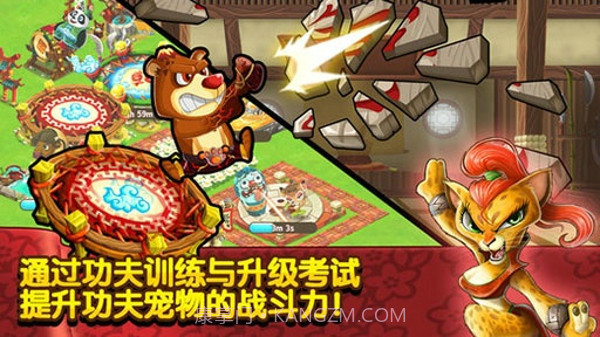 功夫宠物官方版截图3