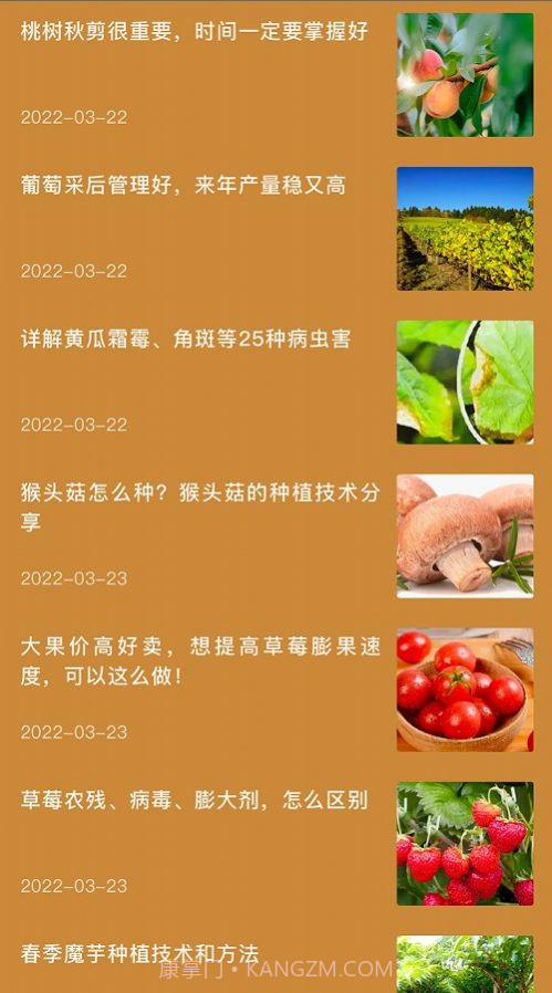 田园小院子截图1