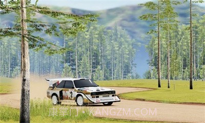 CarX拉力赛15609截图3 CarX拉力赛15609截图3