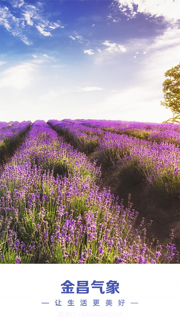 金昌气象截图1