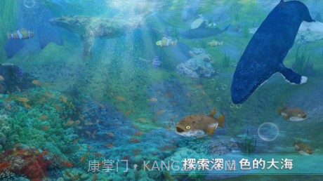 全民养鲸鱼最新版截图1