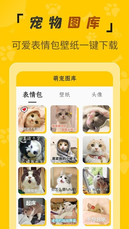 人猫翻译机截图2 人猫翻译机截图2
