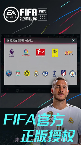 fifa世界足球2008截图1