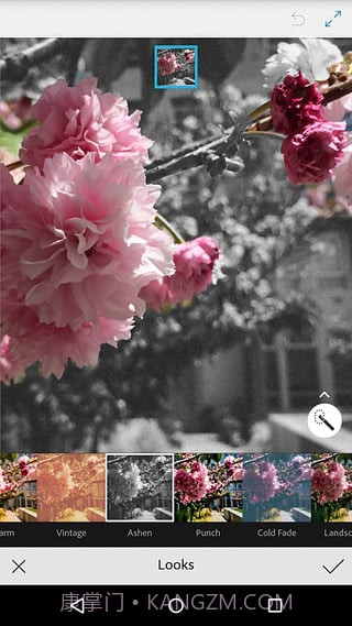 Adobe Photoshop Mix截图1