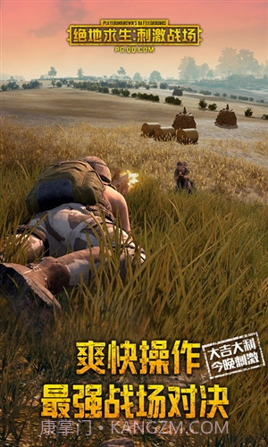 绝地求生刺激战场国际版截图3 绝地求生刺激战场国际版截图3