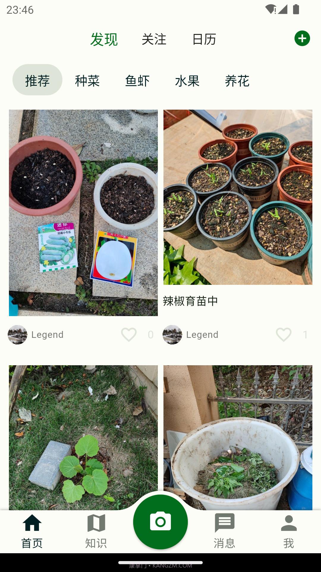 鱼菜记养花种菜截图1