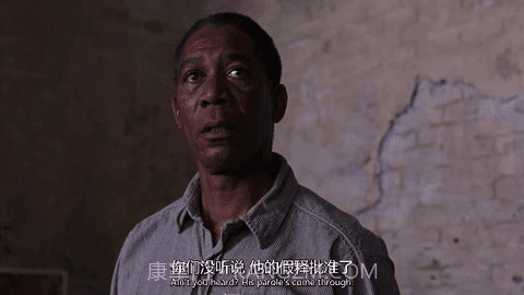 小枫影视TV截图2