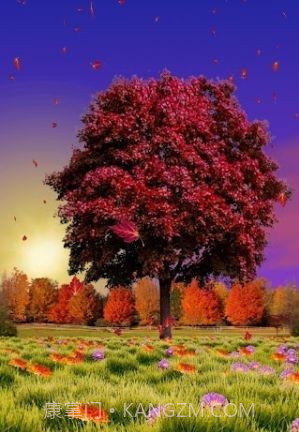 秋天动态壁纸截图3