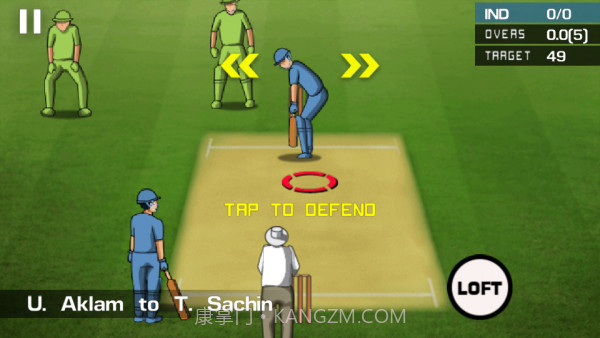 街头板球锦标赛截图2