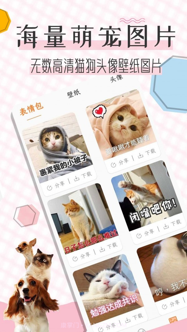 猫语翻译宝截图4 猫语翻译宝截图4