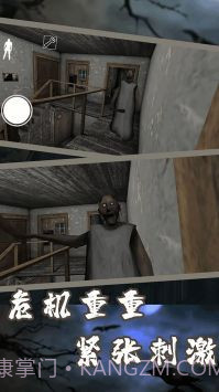 恐怖奶奶迷雾截图2
