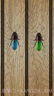 蟑螂终极淘汰赛截图4 蟑螂终极淘汰赛截图4