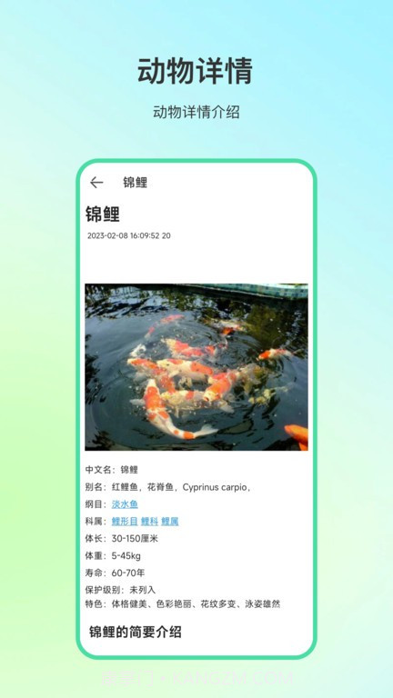 动物百科知识大全软件截图2