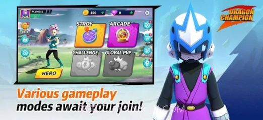 Dragon Champion Z截图1