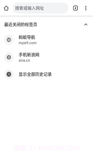 Chrome蚂蚁截图3