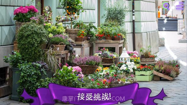 找一只猫截图3 找一只猫截图3