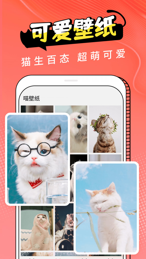 pet猫翻译截图3 pet猫翻译截图3