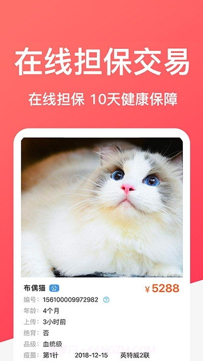 Dog Breeds狗品种截图3 Dog Breeds狗品种截图3