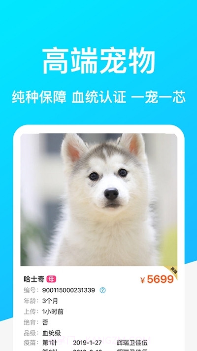 Dog Breeds狗品种截图2 Dog Breeds狗品种截图2