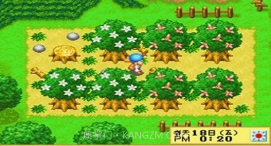 牧场物语精灵驿站中文版截图2 牧场物语精灵驿站中文版截图2