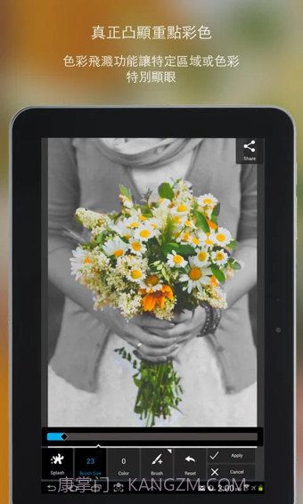 PixlrExpress免费版截图2