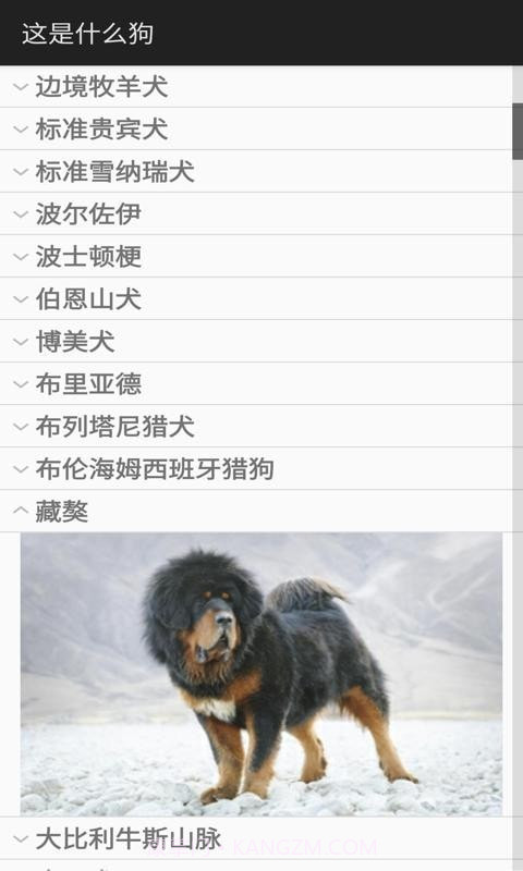 这是什么狗截图2