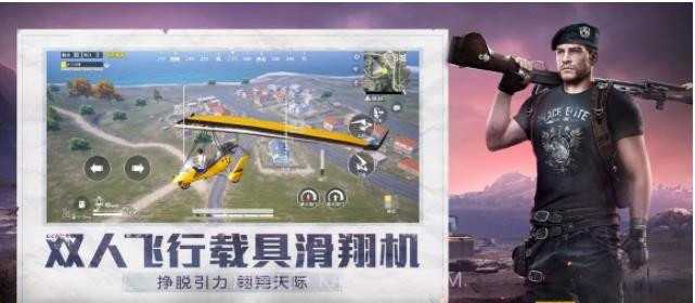 和平精英小蜜蜂助手截图2 和平精英小蜜蜂助手截图2