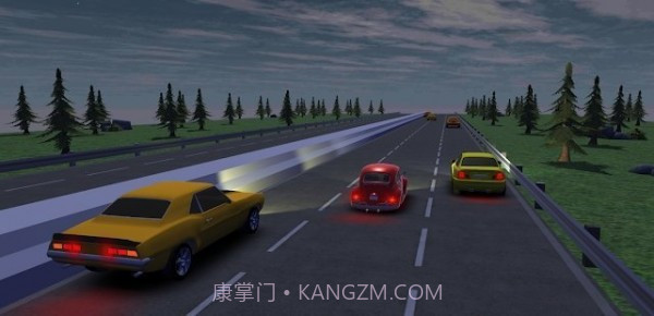 疯狂的赛车司机截图1