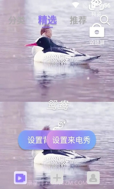 视频铃声来电秀截图3