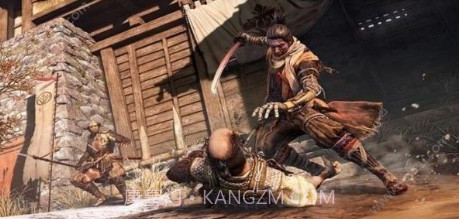 sekiro只狼联机版截图1