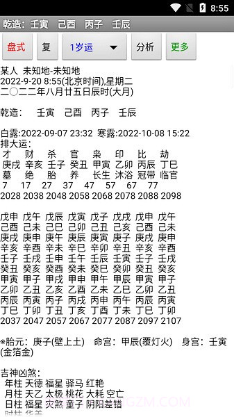 玄奥八字截图3 玄奥八字截图3