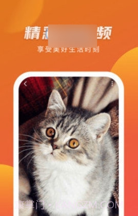 优赏短视频赚钱版截图3 优赏短视频赚钱版截图3