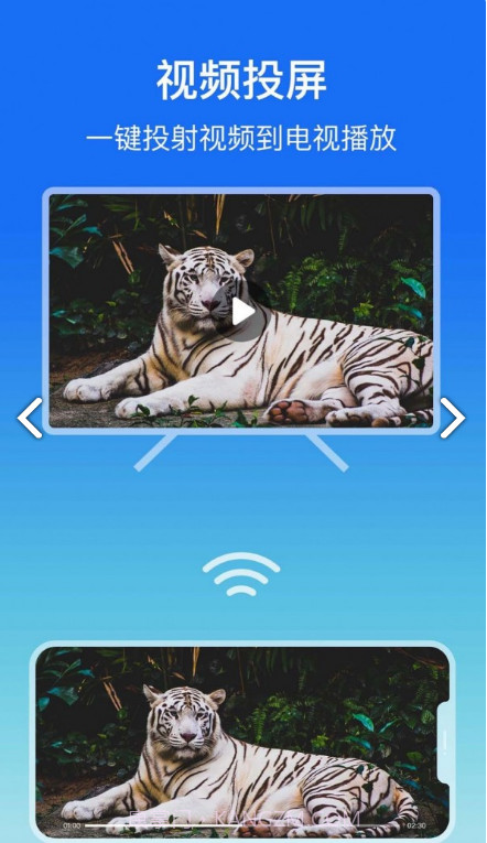 lbtp屏幕镜像手机版截图3