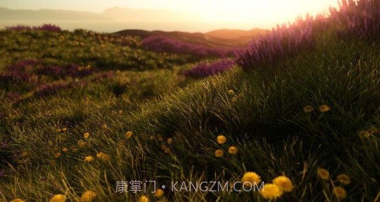 ProjectX大逃杀最新版截图2