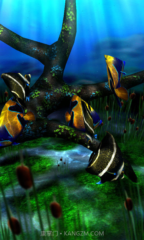 3d水族馆动态壁纸截图4 3d水族馆动态壁纸截图4