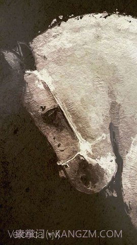 glaze油画滤镜截图2