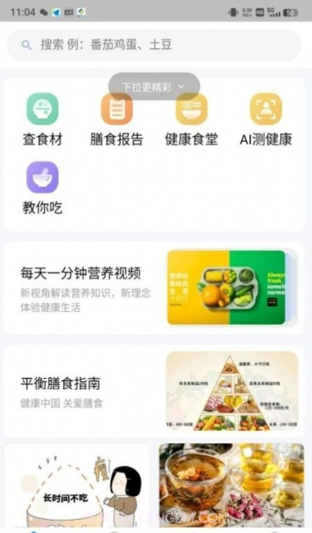 AI膳食营养师截图3