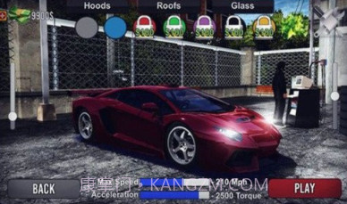 最终拉力赛无限金币截图2