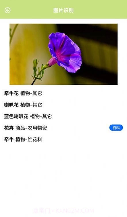 认识植物截图1 认识植物截图1