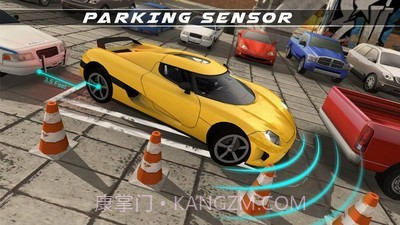 真实泊车大师截图4