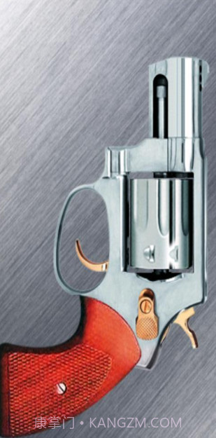 Russian Roulette截图1 Russian Roulette截图1