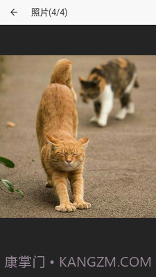 小励日记截图2 小励日记截图2