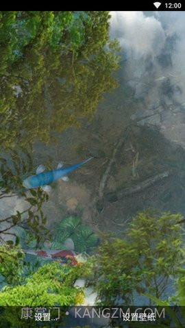 3d鱼池动态壁纸（Koi）截图1