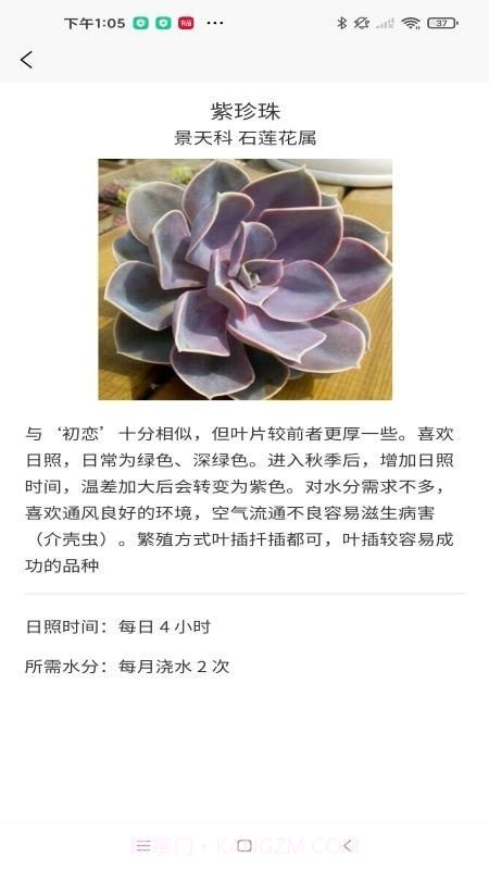 嘟嘟多肉植物鉴截图2 嘟嘟多肉植物鉴截图2