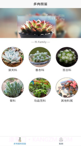 嘟嘟多肉植物鉴截图1 嘟嘟多肉植物鉴截图1