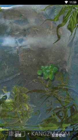 3d鱼池动态壁纸（Koi）截图2